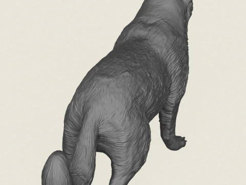 Wild Badger Animal 3D Print Model