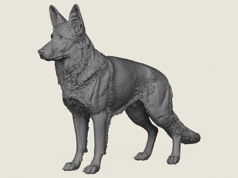 German Shepherd Dog 3D Print Model .c4d .max .obj .3ds .fbx .stl .blend 