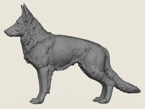 German Shepherd Dog 3D Print Model