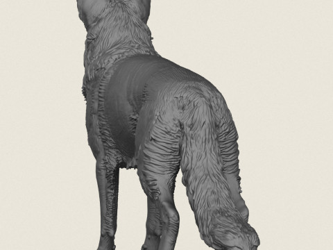 German Shepherd Dog 3D Print Model