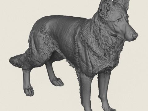 German Shepherd Dog 3D Print Model