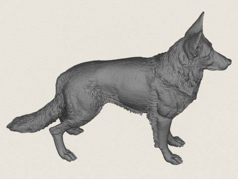 German Shepherd Dog 3D Print Model