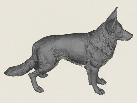 German Shepherd Dog 3D Print Model