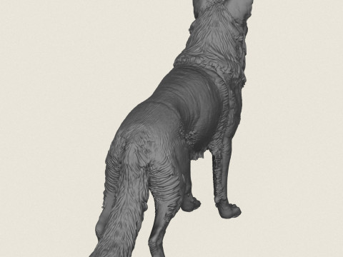 German Shepherd Dog 3D Print Model