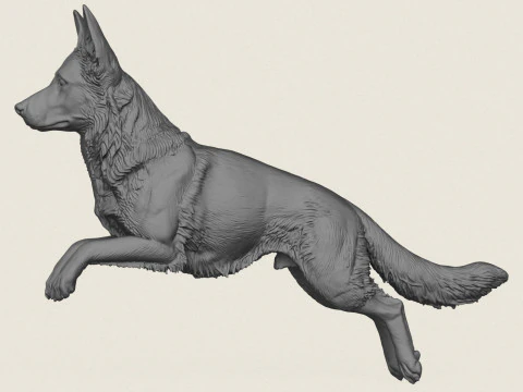 German Shepherd Dog Jumping 3D Print Model