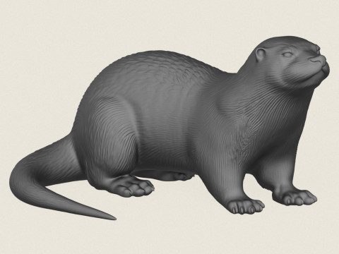 Wydruk wydry gotowy Model do druku 3D