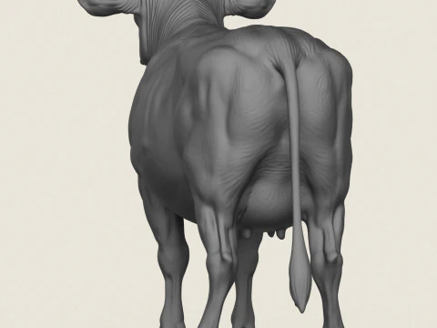 Корова стоїть 3D Принт Модель