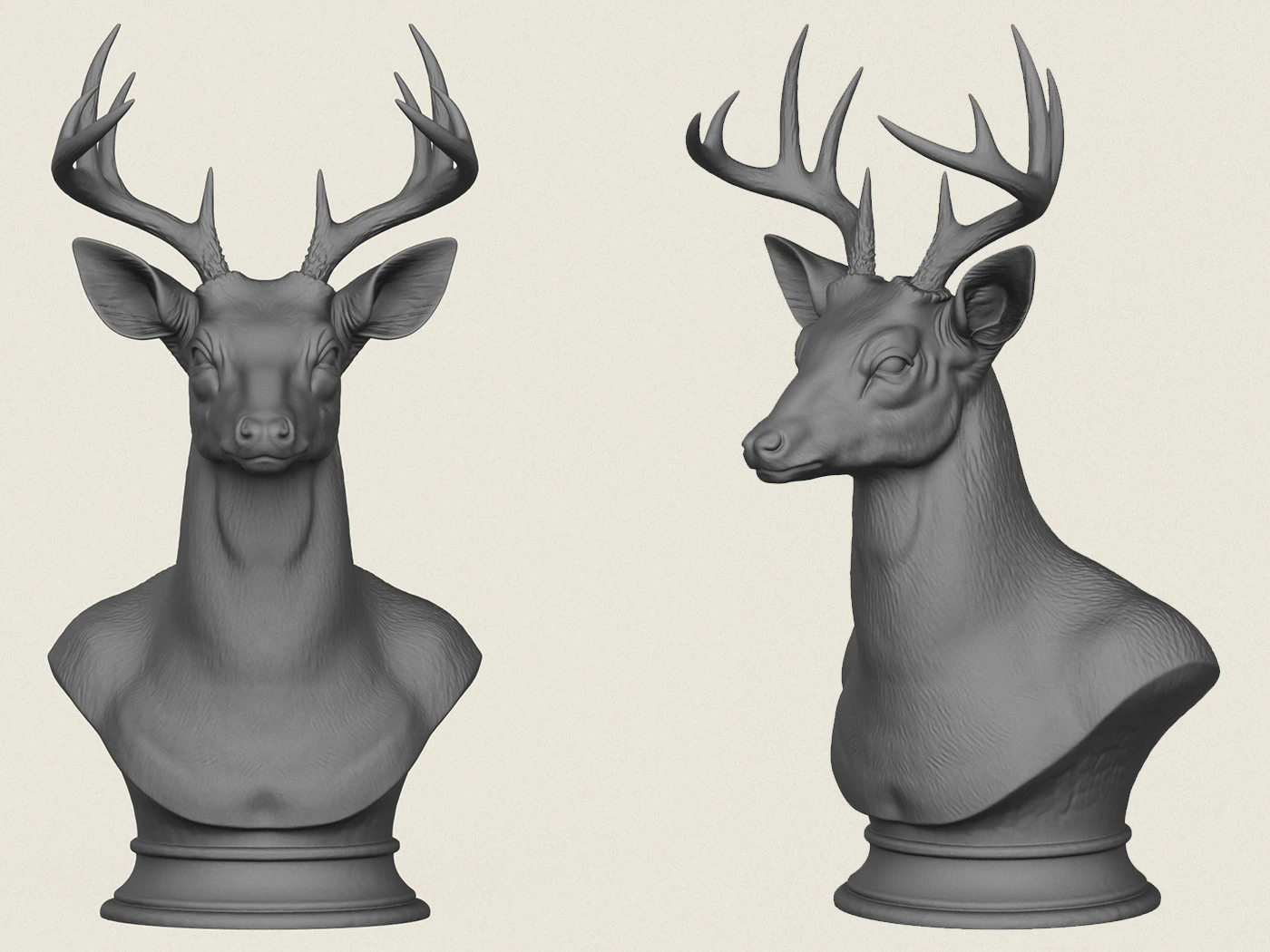 Busto di cervo selvatico Modello di stampa 3D .c4d .max .obj .3ds .fbx .stl .blend 