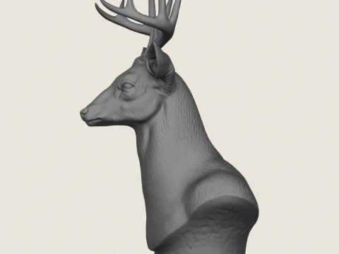 Busto di cervo selvatico Modello di stampa 3D