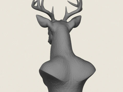 Busto di cervo selvatico Modello di stampa 3D