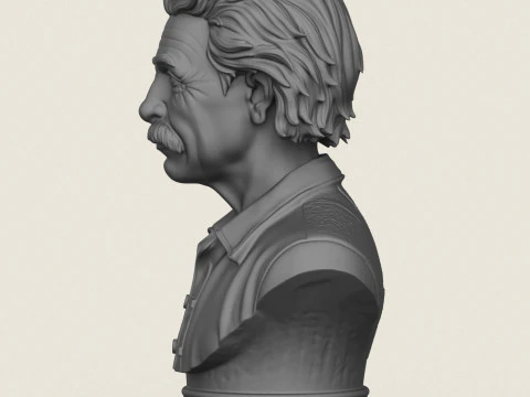 Albert Einstein Bust 3D Print Model
