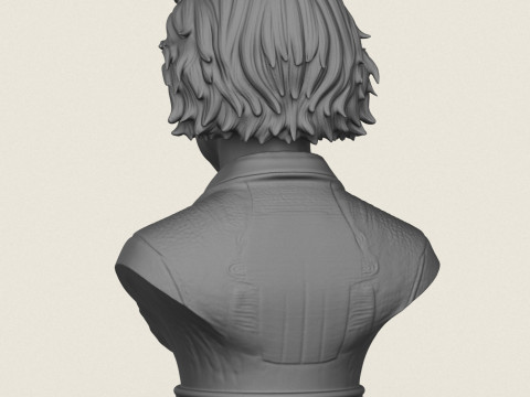 Buste d'Albert Einstein Modèles 3D en vedette