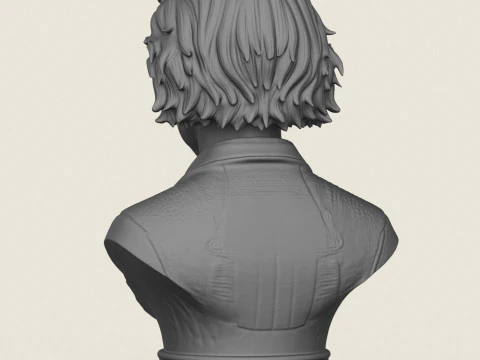 Albert Einstein Bust 3D Print Model