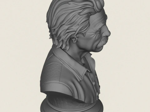 Albert Einstein Bust 3D Print Model