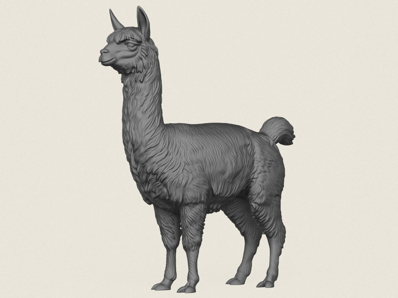 Alpaka Ayakta 3D Baskı Modeli .c4d .max .obj .3ds .fbx .stl .blend