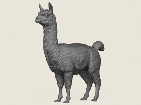 Alpaka stehend 3D Druckmodell