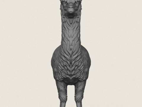 Alpaka Ayakta 3D Baskı Modeli