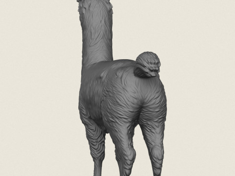 Alpaka Ayakta 3D Baskı Modeli