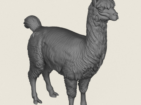 Alpaka Ayakta 3D Baskı Modeli