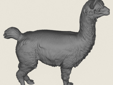 Alpaka Ayakta 3D Baskı Modeli