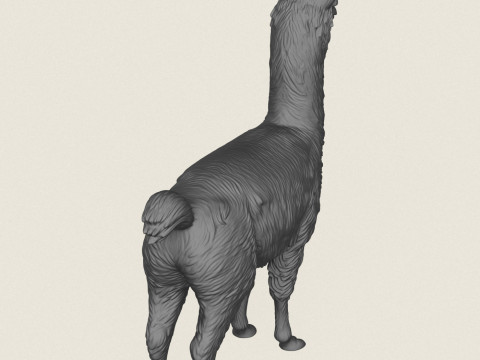 Alpaka Ayakta 3D Baskı Modeli
