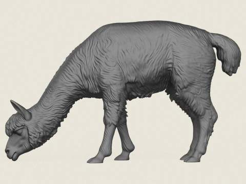 Mangiare Alpaca Modello di stampa 3D