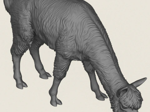 Mangiare Alpaca Modello di stampa 3D