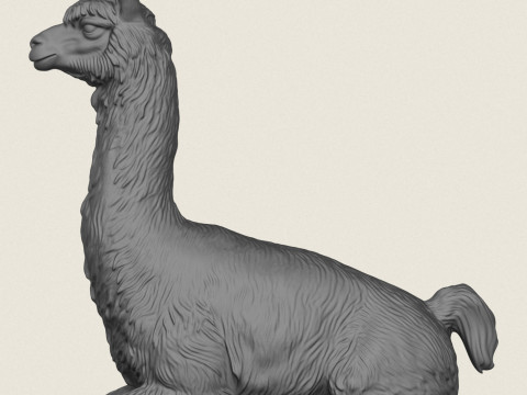 Alpaka Oturma 3D Baskı Modeli