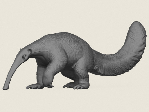 Anteater Walking 3D Print Model