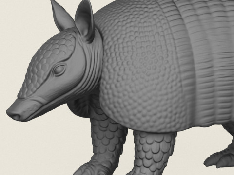 Gürteltier 3D Druckmodell