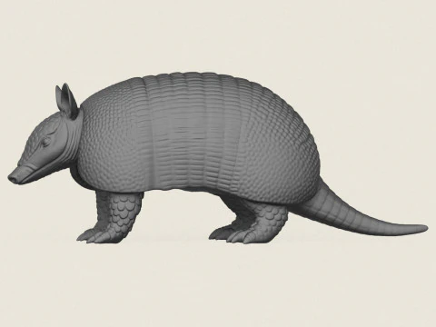 Tatu Modelo de Impressão 3D