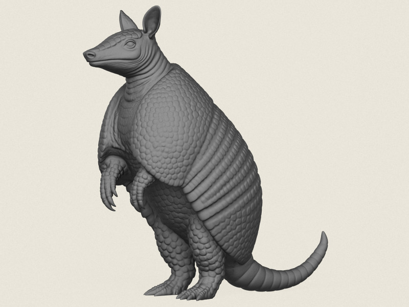 Armadillo Standing 3D Print Model .c4d .max .obj .3ds .fbx .stl .blend