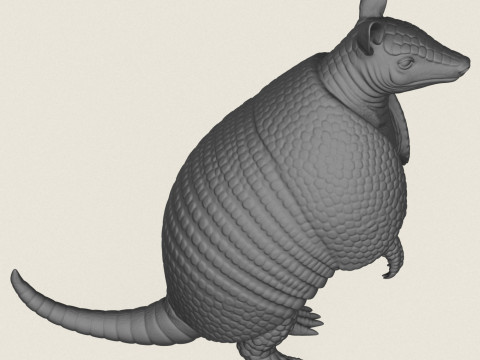 Armadillo Standing 3D Print Model