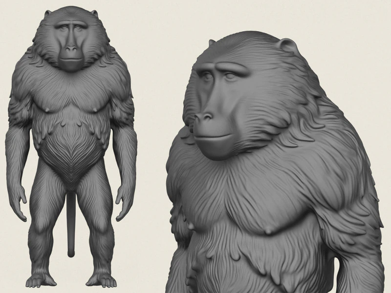 Baviaan Aap Staande 3D printmodel .c4d .max .obj .3ds .fbx .stl .blend 