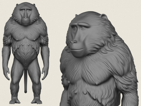 개코원숭이가 서 있다 3D 프린트 모델