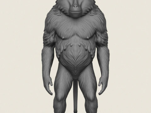 Baviaan Aap Staande 3D printmodel