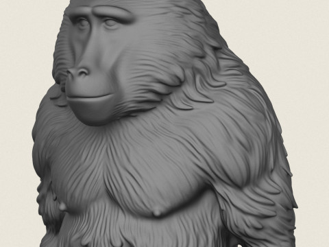 Scimmia babbuino in piedi Modello di stampa 3D