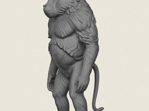 Baviaan Aap Staande 3D printmodel