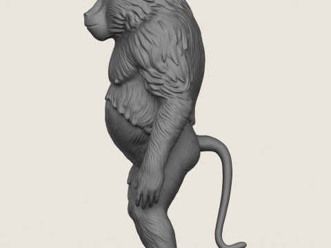 Scimmia babbuino in piedi Modello di stampa 3D