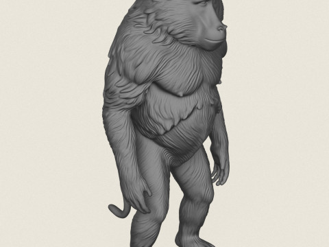 Scimmia babbuino in piedi Modello di stampa 3D