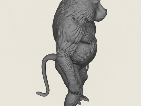 Baviaan Aap Staande 3D printmodel