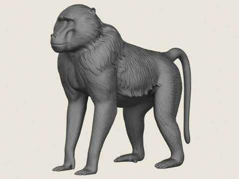 Macaco Babu&iacute;no Modelo de Impressão 3D