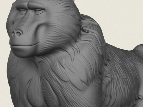 Baviaan Aap 3D printmodel
