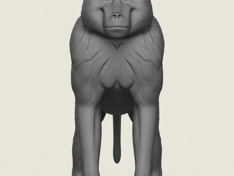 Baviaan Aap 3D printmodel