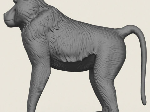 Baviaan Aap 3D printmodel
