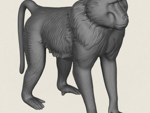 Baviaan Aap 3D printmodel