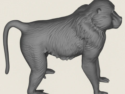 Baviaan Aap 3D printmodel