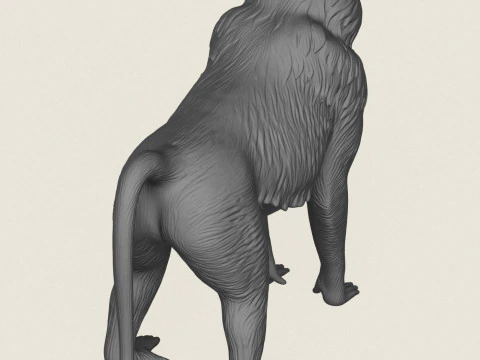 Baviaan Aap 3D printmodel