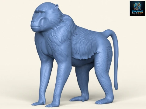 Babun Maymunu 3D Baskı Modeli