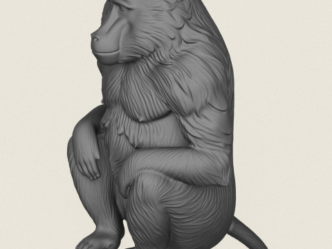 Бабуин-обезьяна сидит 3D Принт Модель